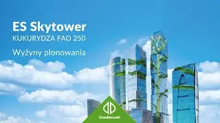 Kukurydza 🌽 𝗘𝗦 𝗦𝗸𝘆𝘁𝗼𝘄𝗲𝗿 - Wyżyny plonowania