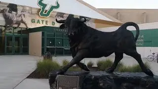 Drone Tour of USF's Yuengling Center