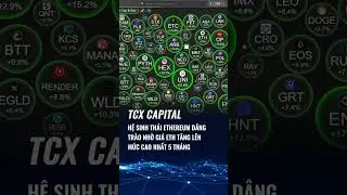Hệ sinh th&aacute;i Ethereum d&acirc;ng tr&agrave;o nhờ gi&aacute; ETH tăng l&ecirc;n mức cao nhất trong 5 th&aacute;ng