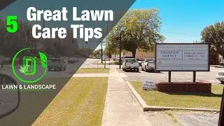 5 Of The Best Lawn Care Tips For Starters || Ds Lawn And Landscape
