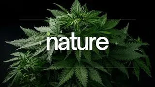 Inature CBD Oil &mdash; Brand Identity Design