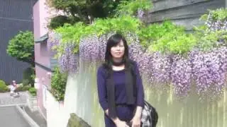 Hakodate PhotoStory 2010
