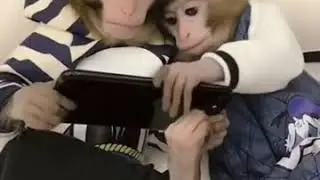 Monkey 5g
