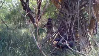 Paintball real action