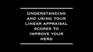 Understanding Your Linear Appraisal Scores