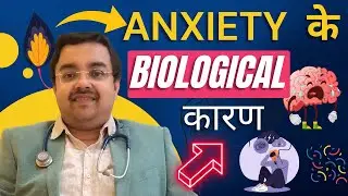 The Hidden Biological Factors Behind Anxiety Disorder