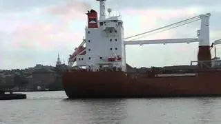 Tilbury Ships, EQUINE and others Jun 2007