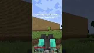 This is why Minecraft servers are so funny