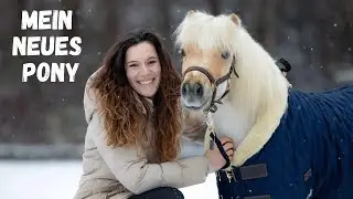 Ein PONY zu WEIHNACHTEN?!