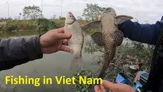 Carp Fishing in the Vietnamese Countryside - Fishing  in a Natural River
