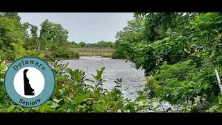 Hunn Nature Park Delaware Trip with Delaware Seniors, Dover, DE (45 min. north of Rehoboth Beach)