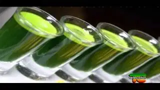 in armonia: erba di grano -  puntata 2