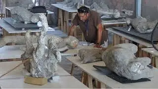 Pompeii Victims Wore Wool in August: A Cold Snap or Practical Protection?