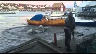 J&auml;tteval irrade in sig Kungshamn