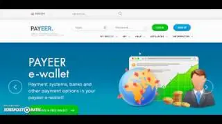 Alternative to Payoneer Prepaid Debit Card