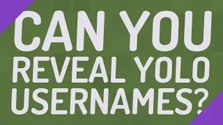 Can you reveal Yolo usernames?