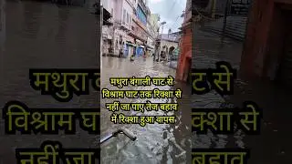 Mathura Flood 2025 latest news #short #flood2025 #yamunaflood2025 #mathurabadh #mathuraflood