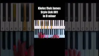 Kiefer / Bob James style lick 001 in D minor#jazzhop