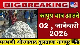 2 जानेवारी | आजचे कापूस बाजारभाव | kapus bajar bhav today | cotton rate today | कापूस बाजार भाव 