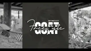 Brythreesixty - GOAT | (FREESTYLE)