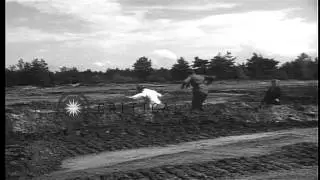 Allies testing German Armor at the Henschel tank testing grounds near Kassel, Ger...HD Stock Footage