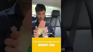 Adorable Moment Before Doctor's Visit! #shortvideo #short #monkey #shorts