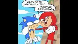 Hedgehog the Sonic