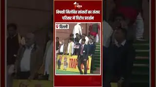 Opposition Suspended MPs Protest: विपक्षी निलंबित सांसदों का संसद परिसर में विरोध प्रदर्शन |Congress