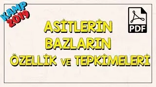 Asitlerin / Bazların Özellik ve Tepkimeleri