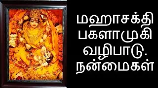 அஷ்டமா சித்திகள் தரும் பகளாமுகி வழிபாடு | Hindu Goddess Bagalamuki Worship | with English Subtitles