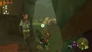 Zelda TOTK #Jazzy333 Episode 33