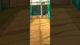 Maverick Portable Cricket Pitch. Just Roll and play Cricket.