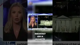 Trump & Musk EXPOSE Washington's Corruption!