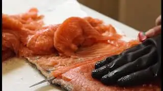 &Ouml;sterbotten - ett fiskelandskap/Pohjanmaa - kalastusmakunta