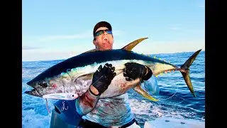 FISHING TOPWATER for YELLOW FIN TUNA