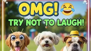 Cute Dogs Doing Funny Things! Best Funny Dog Compilation 2026