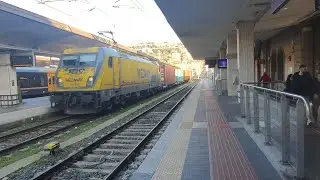 E.494.232 
