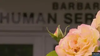 $100 million lawsuit filed against DHS