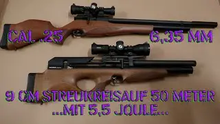 Diana Outlaw und Skyhawk / Warum wir dem cal.25 mehr Beachtung schenken sollten...
