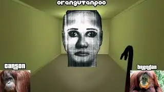 We played Garry's mod Nextbot Run! (Bald and Spooky #1)