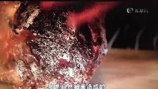 The Butcher's Club on  Old Space, New Craze  廠出新天地