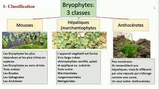 Chapitre 4 : Bryophytes ou Mousses