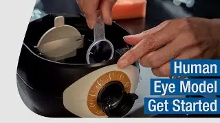 Human Eye Model | Get Started