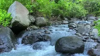 Calm Flow River Sounds for Focus, Study, Meditation & Relaxation