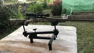 Ruger American 350 Go Wild