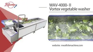 FXFM New Vortex Vegetable Washer Machine - 4 washing modes