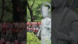 【MV】The End of Yulin Festival ユーリン祭廃止への祈り
