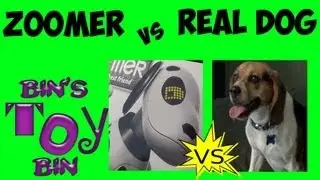 Zoomer Vs. Real Dog: The Ultimate Showdown! by Bin's Toy Bin