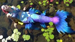 Come Swim With a Mermaid - Raina