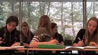 STERREN COLLEGE Profiel GROEN